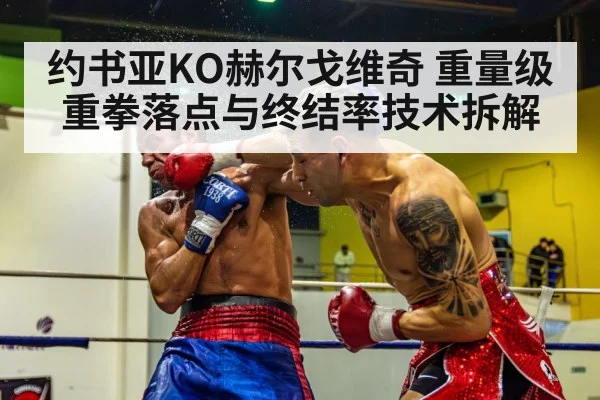 约书亚KO赫尔戈维奇 重量级重拳落点与终结率技术拆解
